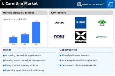 L Carnitine Market Infographic