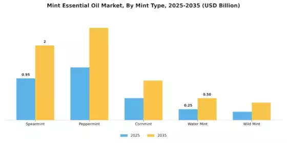 Mint Essential Oil Market Segment Image 2