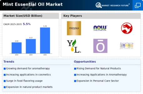 Mint Essential Oil Market Infographic