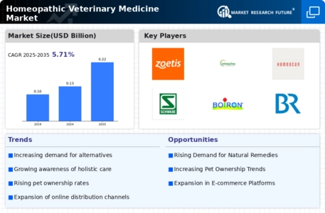 Homeopathic Veterinary Medicine Market Infographic