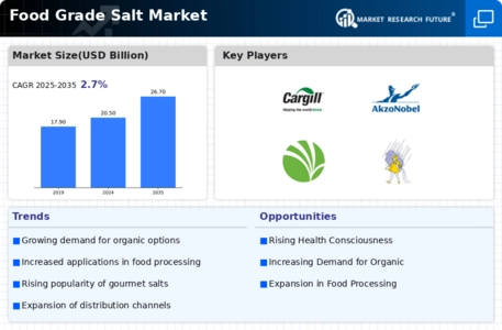 Food Grade Salt Market Infographic