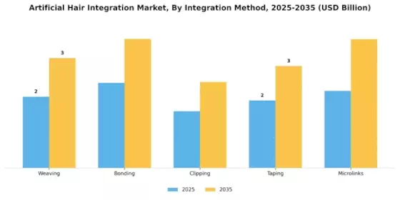 Artificial Hair Integration Market Segment Image 1
