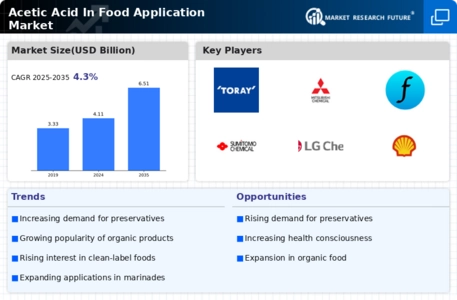 Acetic Acid In Food Application Market Infographic