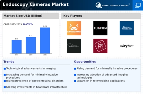 Endoscopy Cameras Market Infographic