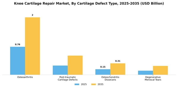 Knee Cartilage Repair Market Segment Image 1