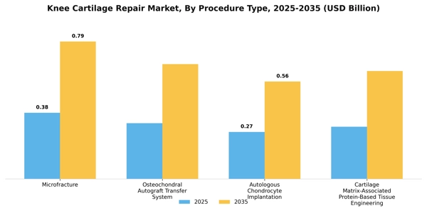 Knee Cartilage Repair Market Segment Image 3