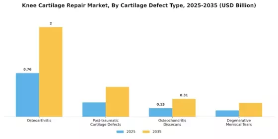 Knee Cartilage Repair Market Segment Image 0