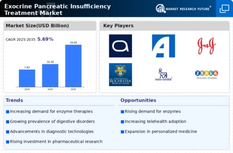 Exocrine Pancreatic Insufficiency Treatment Market Infographic