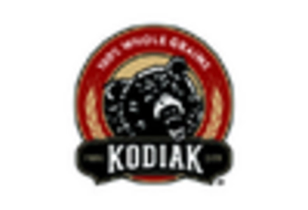 Trailer Surge Brake Market key player