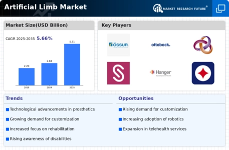 Artificial Limb Market Infographic