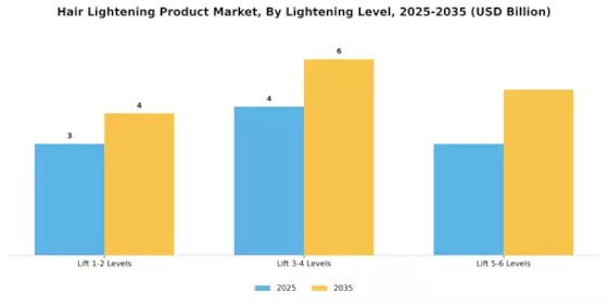 Hair Lightening Product Market Segment Image 1