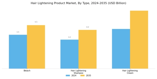 Hair Lightening Product Market Segment Image 0