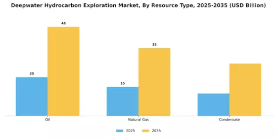 Deepwater Hydrocarbon Exploration Market Segment Image 0