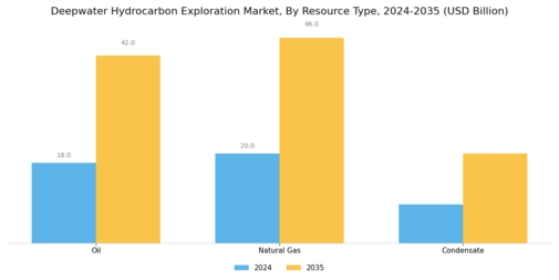 Deepwater Hydrocarbon Exploration Market Segment Image 0