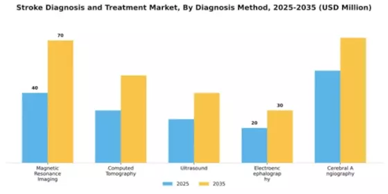 Stroke Diagnosis and Treatment Market Segment Image 0
