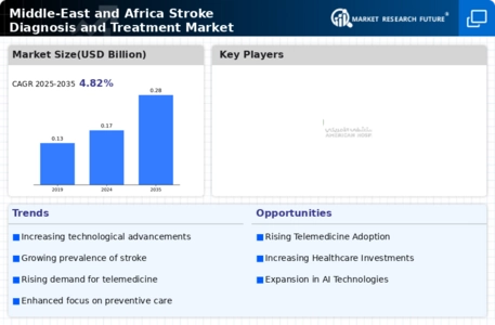 Stroke Diagnosis and Treatment Market Infographic