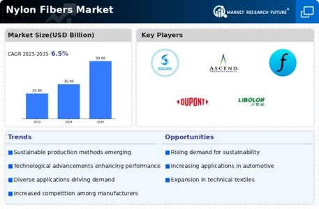Nylon Fiber Market Infographic