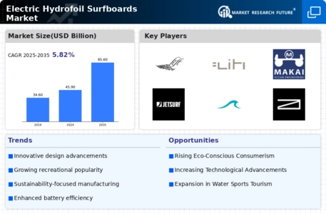 Electric Hydrofoil Surfboards Market  Infographic