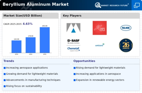 Beryllium Aluminum Market
 Infographic