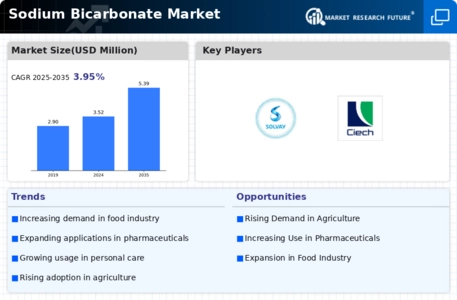 Sodium Bicarbonate Market Infographic