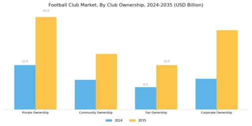 Football Club Market Segment Image 1