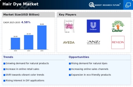 Hair Dye Market Infographic