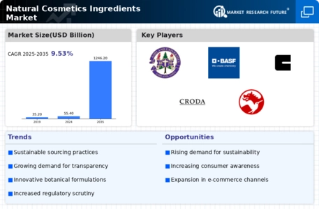 Natural Cosmetics Ingredients Market Infographic