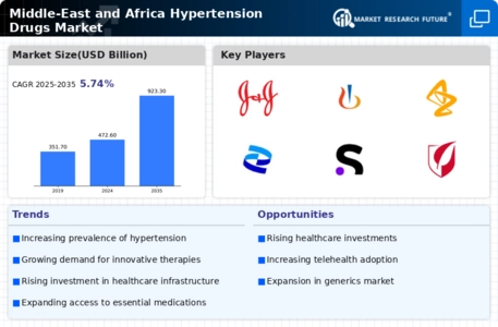Hypertension Drugs Market Infographic