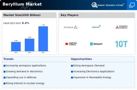 Beryllium Market Infographic