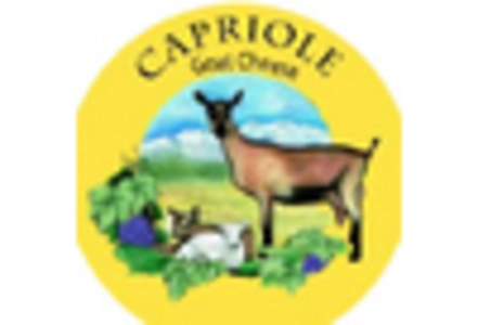 Goat Cheese Market key player