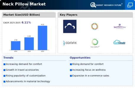 Neck Pillow Market Infographic