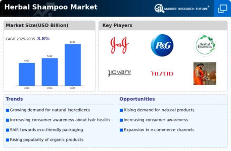 Herbal Shampoo Market Infographic
