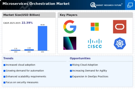 Microservices Orchestration Market
 Infographic