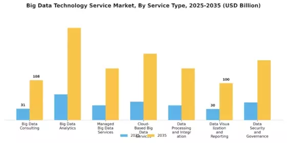 Big Data Technology Service Market Segment Image 0