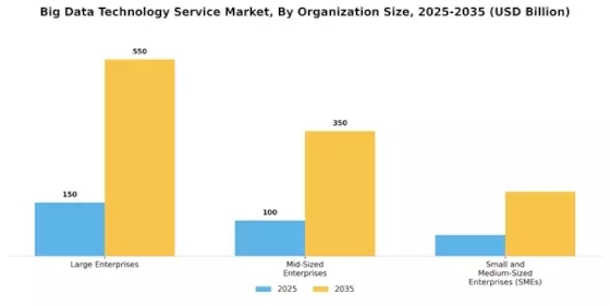Big Data Technology Service Market Segment Image 2