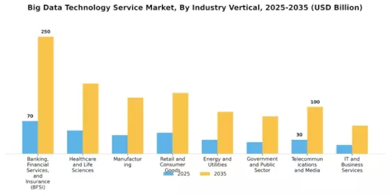 Big Data Technology Service Market Segment Image 3