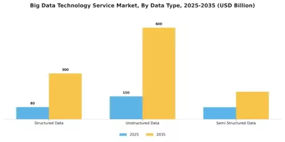 Big Data Technology Service Market Segment Image 4