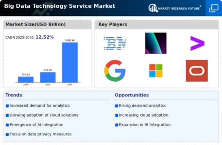 Big Data Technology Service Market Infographic