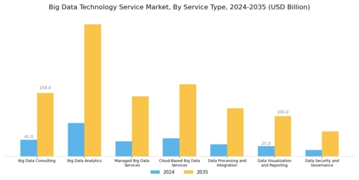 Big Data Technology Service Market Segment Image 0