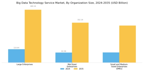 Big Data Technology Service Market Segment Image 2