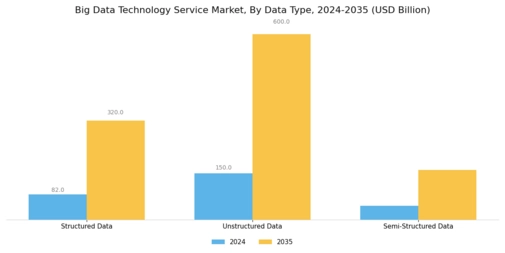 Big Data Technology Service Market Segment Image 4