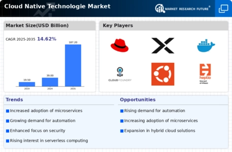 Cloud Native Technologie Market Infographic