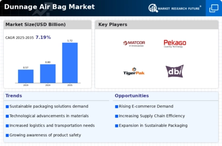 Dunnage Air Bag Market Infographic