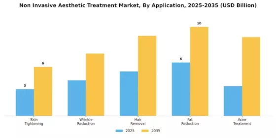 Non Invasive Aesthetic Treatment Market Segment Image 1