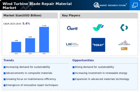 Wind Turbine Blade Repair Material Market Infographic