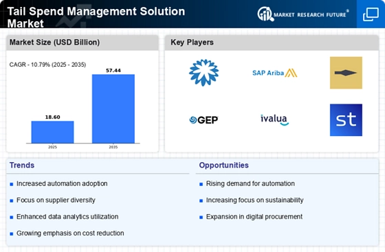 Tail Spend Management Solution Market Infographic