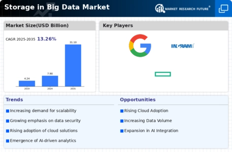 Storage in Big Data Market Infographic