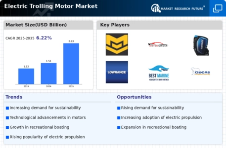 Electric Trolling Motor Market Infographic