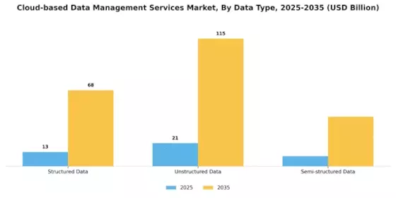 Cloud based Data Management Services Market Segment Image 1