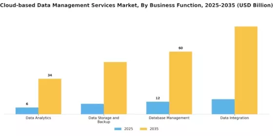 Cloud based Data Management Services Market Segment Image 2